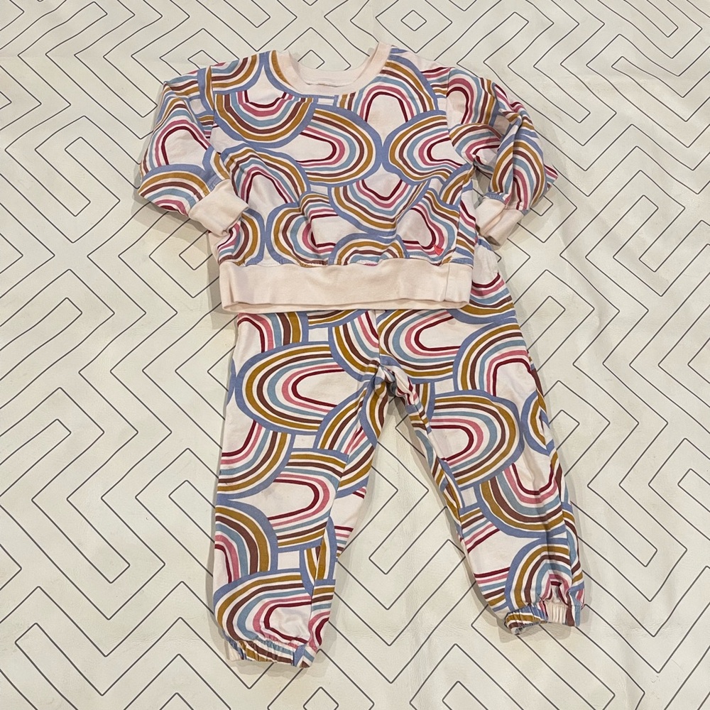 Pink Chicken Rainbow Sweatsuit Outfit